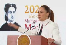 Sheinbaum considera denunciar a Elon Musk / Por Diana Domínguez