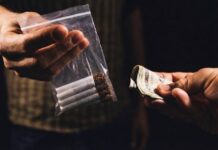 Vinculan a proceso a siete personas en Tulum y Playa del Carmen por narcomenudeo