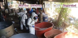 En Guerrero, Marina, SSPC y FGR desmantelan un laboratorio clandestino y aseguran 300 kilos de metanfetamina