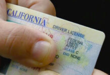 Prohibe Estados Unidos licencias comerciales a inmigrantes / Por Diana Domínguez
