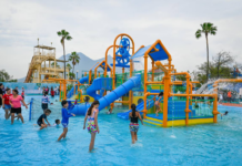 Llega la primavera a Parque Fundidora de Monterrey; reabre Zona Splash