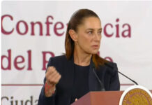 Enviará Sheinbaum donación a asociación de AMLO / Por Diana Domínguez
