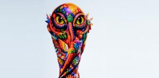 Realizarán en Oaxaca actividades deportivas, culturales y sociales con motivo del Mundial 2026