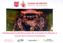 Con la conservación y uso sustentable de la biodiversidad buscan que la CDMX se más resiliente para 2050 / Por Alicia Valverde