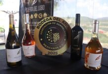 Anuncian en Querétaro la Vendimia Blanco y Tinto 2026 del viñedo Puerta del Lobo
