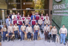 Con binomios caninos fortalecerán la vigilancia sanitaria durante el mundial 2026/ Por Alicia Valverde