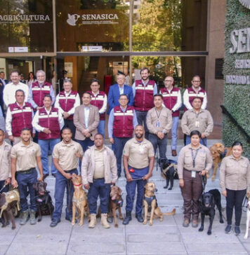 Con binomios caninos fortalecerán la vigilancia sanitaria durante el mundial 2026/ Por Alicia Valverde