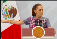 “Falso” que Sheinbaum se sientra entre la espada y la pared / Por Diana Domínguez