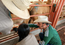 Fortalece Nuevo León blindaje contra gusano barrenador en fronteras con otros estados