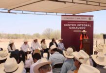 Construirán en Sonora un Centro integral ganadero para dar valor agregado a la carne / Por Alicia Valverde