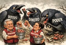 CNTE, el chirrión por el palito y los límites del bienestar / Por Mauricio Flores