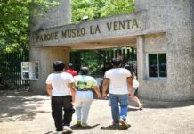 Rehabilitan en Villahermosa Museo Parque La Venta