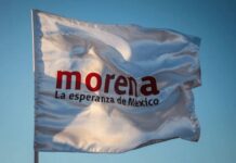 Siete elecciones estatales que Morena teme perder / Por Mauricio Flores