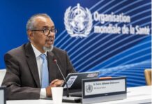 OMS: las olas de calor son una creciente amenaza a la salud, con 500.000 muertes anuales