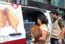 Ley de Protección, Cuidado y Bienestar Animal del EdoMéx sanciona el maltrato de oficio
