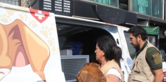 Ley de Protección, Cuidado y Bienestar Animal del EdoMéx sanciona el maltrato de oficio