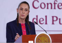 Incitadores a la violencia en movimiento de la CNTE “no son maestros” / Por Diana Domínguez