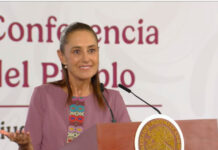 “No son apagones, son interrupciones de energía”, aseguró Shienbaum ante quejas de cortes de electricidad en el paìs / Por Diana Domínguez