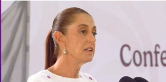 No hay planes de desalojo del plantón de la CNTE en el Zócalo: Sheinbuam / Por Diana Domínguez Galván