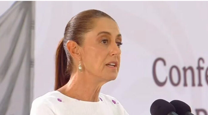 No hay planes de desalojo del plantón de la CNTE en el Zócalo: Sheinbuam / Por Diana Domínguez Galván