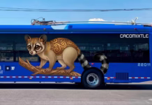 En la CDMX, ponen en operación dos nuevas rutas del trolebús, El Chapulín y de los Animales Silvestres