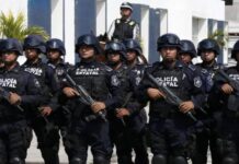 Acciones operativas en 21 municipios veracruzanos dejan 36 detenidos y el decomiso de 300 dosis