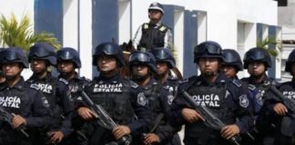 Acciones operativas en 21 municipios veracruzanos dejan 36 detenidos y el decomiso de 300 dosis