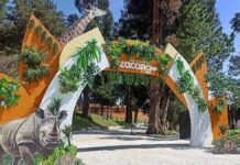 ¡Zoológico de Zacango también abrirá los lunes!