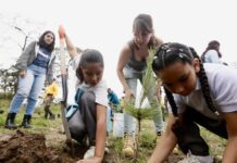 Realizan reforestación en el bosque La Primavera de Puebla