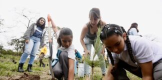 Realizan reforestación en el bosque La Primavera de Puebla