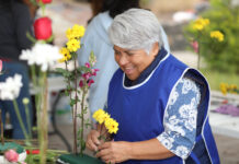 En Querétaro, promueven cultura de protección a adultos mayores