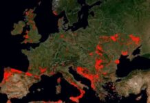 Europa sigue luchando contra el fuego, con el foco en Francia y España