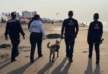 Vacaciones seguras: más de 982 elementos resguardan destinos turísticos de Veracruz