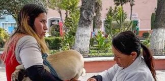 Realiza NL jornada de vacunación gratuita en el Centro Estatal de Atención Animal