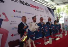 Anuncia Cruz Roja Mexicana séptima edición de la carrera “Todo México Salvando Vidas” / Por Diana Domínguez