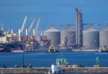México incrementó en 4.5% exportaciones agroalimentarias a Ecuador: Sader / Por Alicia Valverde