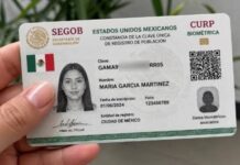 Arranca en Chihuahua programa piloto de CURP Biométrica