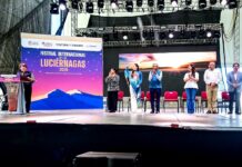 Festival Internacional de las Luciérnagas 2026 del Gobierno del EdoMéx reúne a más de 57 mil visitantes