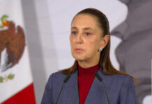 Que la DEA trabaje en su país: revira Sheinbaum / Por Diana Domínguez