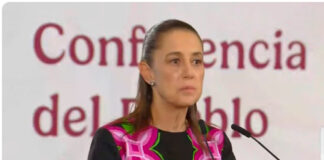 Evadió Sheinbaum opinar sobre posible negociación de “El Mayo” con autoridades de Estados Unidos / Por Diana Domínguez