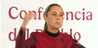 Reconoció Sheinbaum actuación de la selección mexicana de futbol en Mundial / Por Diana Domínguez