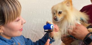 Con más de mil 200 servicios gratuitos y 29 adopciones responsables, el EdoMéx celebró el Día Mundial del Perro