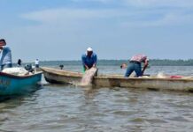 Revisan en Tabasco operación del programa Pescando Vida
