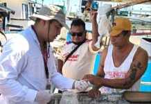 Refuerzan acciones para certificar a Yucatán como estado libre de paludismo