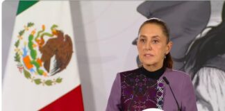 Apoya Sheinbaum a Graciela Domínguez para gobernar Sinaloa / Por Diana Domínguez