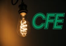 CFE: ¿Escuela de ladrones?