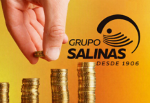 Grupo Salinas: pago histórico fiscal y la libertad / Por Mauricio Flores
