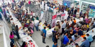 Ofertan 920 vacantes en 2.ª Feria Nacional de Empleo para las Juventudes en Veracruz
