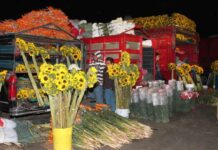 Celebra Mercado de flores y hortalizas de la Central de Abastos de la CDMX 39 años de historia, trabajo y tradición