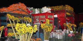 Celebra Mercado de flores y hortalizas de la Central de Abastos de la CDMX 39 años de historia, trabajo y tradición
